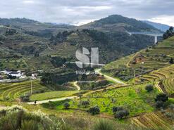 Terreno R�stico - Aba�as, Vila Real, Vila Real - Miniatura: 21/30