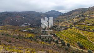 Terreno R�stico - Aba�as, Vila Real, Vila Real - Miniatura: 22/30