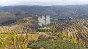 Terreno R�stico - Aba�as, Vila Real, Vila Real - Miniatura: 23/30