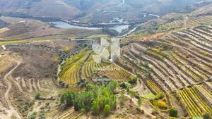 Terreno R�stico - Aba�as, Vila Real, Vila Real - Miniatura: 25/30