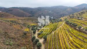 Terreno R�stico - Aba�as, Vila Real, Vila Real - Miniatura: 26/30