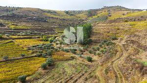 Terreno R�stico - Aba�as, Vila Real, Vila Real - Miniatura: 27/30