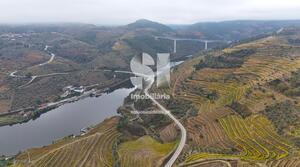 Terreno R�stico - Aba�as, Vila Real, Vila Real - Miniatura: 30/30