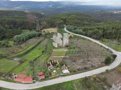 Terreno Rstico - Paradela, Penacova, Coimbra - Miniatura: 3/6