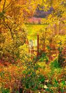 Moradia T2 - Arrifana, Vila Nova de Poiares, Coimbra - Miniatura: 14/32