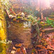 Moradia T2 - Arrifana, Vila Nova de Poiares, Coimbra - Miniatura: 24/32