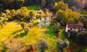 Moradia T2 - Arrifana, Vila Nova de Poiares, Coimbra - Miniatura: 25/32