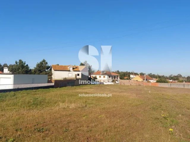 Terreno R�stico T0 - Vieira de Leiria, Marinha Grande, Leiria - Miniatura: 3/6