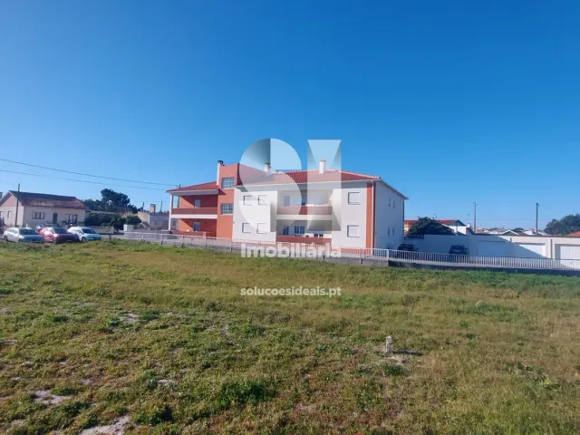 Terreno R�stico T0 - Vieira de Leiria, Marinha Grande, Leiria - Miniatura: 5/6