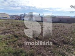 Terreno Urbano T0 - Tamengos, Anadia, Aveiro - Miniatura: 6/6