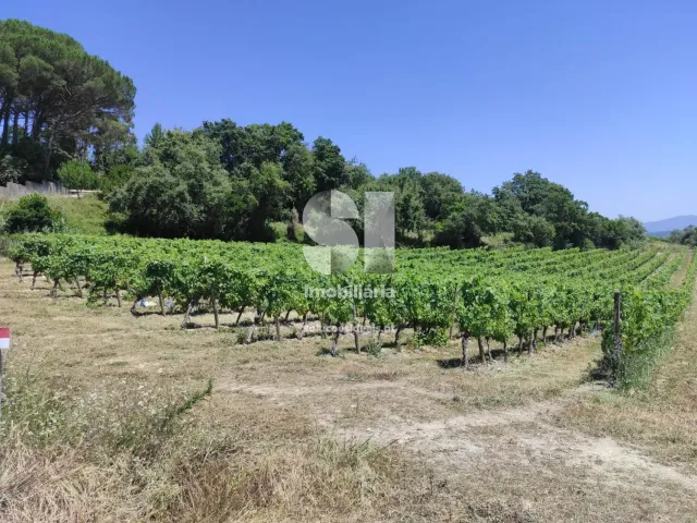 Terreno Urbano T0 - Arcos, Anadia, Aveiro - Miniatura: 10/22