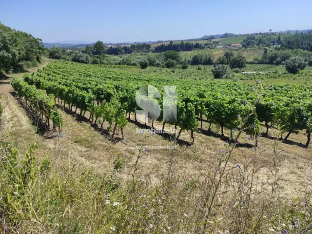 Terreno Urbano T0 - Arcos, Anadia, Aveiro - Miniatura: 18/22