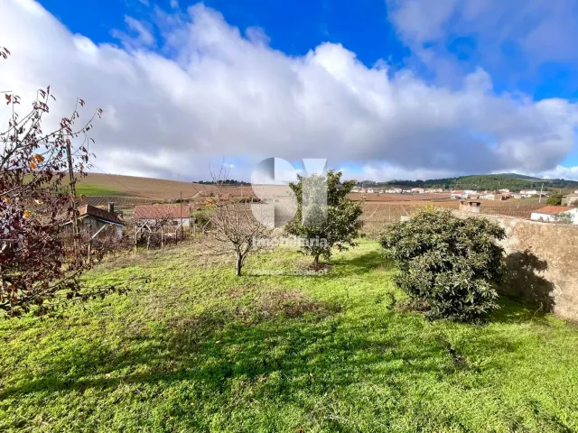 Moradia T0 - Alij�, Alij�, Vila Real - Miniatura: 42/46