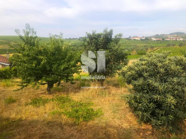 Moradia T0 - Alij�, Alij�, Vila Real - Miniatura: 43/46