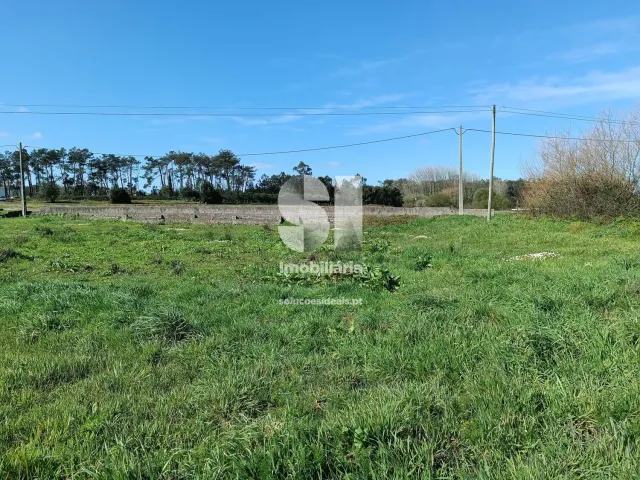 Terreno Urbano T0 - Vieira de Leiria, Marinha Grande, Leiria - Miniatura: 5/5