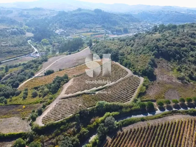 Terreno Urbano T0 - Dois Portos, Torres Vedras, Lisboa - Miniatura: 3/8