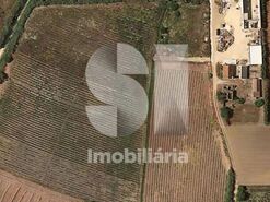 Moradia T2 - Silveira, Torres Vedras, Lisboa - Miniatura: 6/24