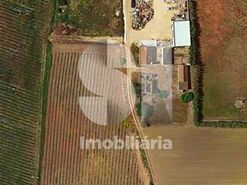 Moradia T2 - Silveira, Torres Vedras, Lisboa - Miniatura: 11/24