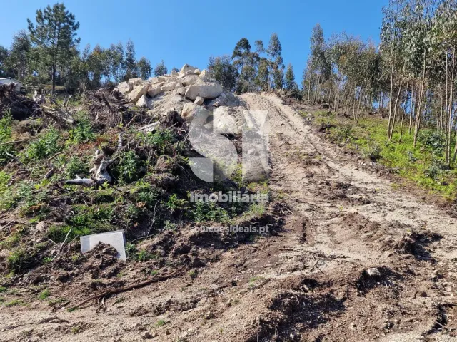 Terreno Urbano T0 - Rebordosa, Paredes, Porto - Miniatura: 2/40