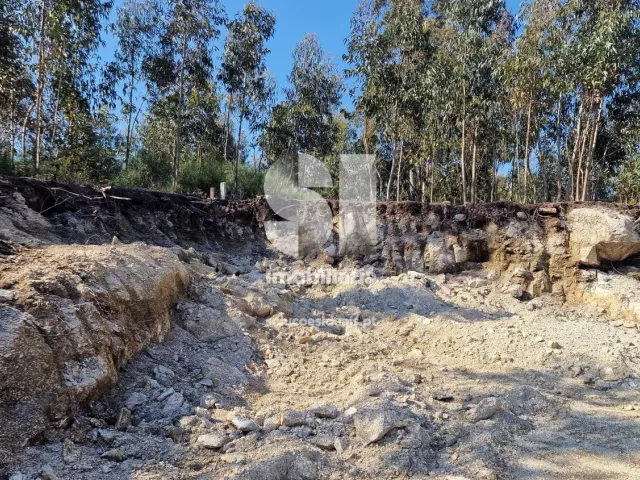 Terreno Urbano T0 - Rebordosa, Paredes, Porto - Miniatura: 3/40