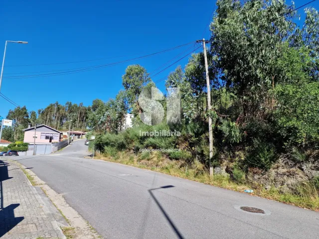 Terreno Urbano T0 - Rebordosa, Paredes, Porto - Miniatura: 39/40