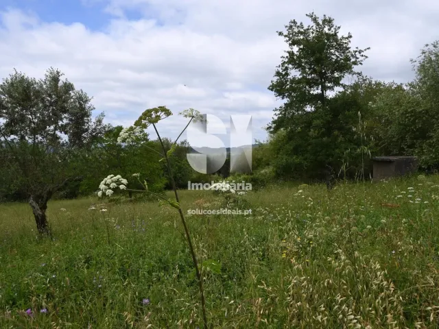 Moradia T5 - S�o Miguel, Penela, Coimbra - Miniatura: 2/33