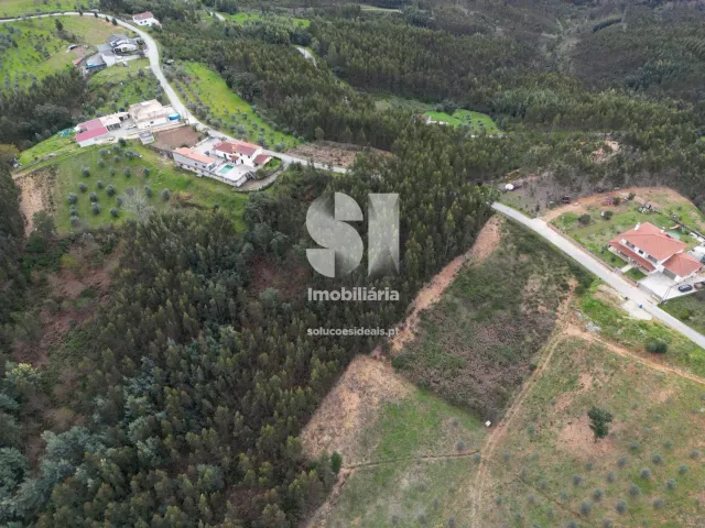 Terreno Urbano T0 - Fri�mes, Penacova, Coimbra - Miniatura: 3/12