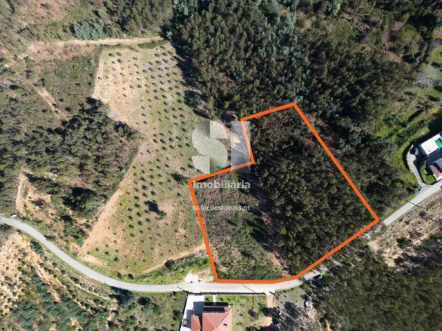 Terreno Urbano T0 - Fri�mes, Penacova, Coimbra - Miniatura: 5/12