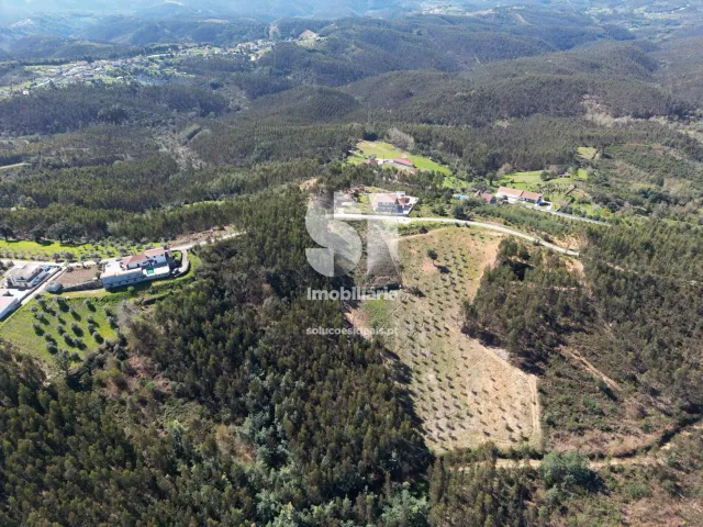 Terreno Urbano T0 - Fri�mes, Penacova, Coimbra - Miniatura: 7/12