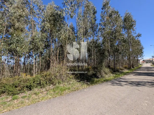 Terreno Urbano T0 - Fri�mes, Penacova, Coimbra - Miniatura: 8/12