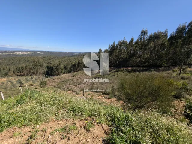 Terreno Urbano T0 - Fri�mes, Penacova, Coimbra - Miniatura: 11/12