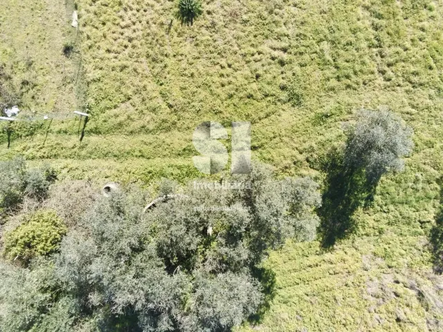 Terreno Urbano T0 - Foz de Arouce, Lous�, Coimbra - Miniatura: 7/7