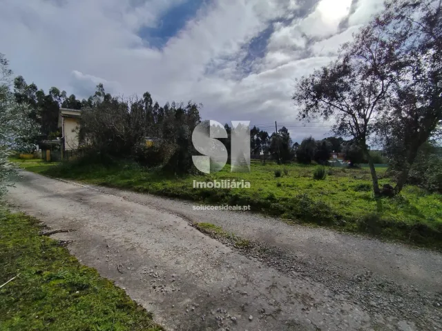 Terreno Urbano T0 - Pampilhosa, Mealhada, Aveiro - Miniatura: 1/9