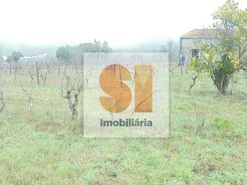 Terreno R�stico T0 - Arrifana, Vila Nova de Poiares, Coimbra - Miniatura: 11/33