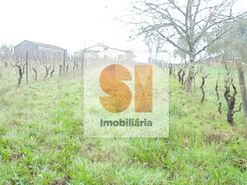 Terreno R�stico T0 - Arrifana, Vila Nova de Poiares, Coimbra - Miniatura: 15/33