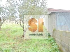 Terreno R�stico T0 - Arrifana, Vila Nova de Poiares, Coimbra - Miniatura: 22/33