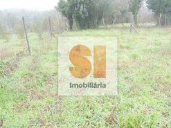 Terreno R�stico T0 - Arrifana, Vila Nova de Poiares, Coimbra - Miniatura: 24/33