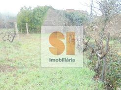 Terreno R�stico T0 - Arrifana, Vila Nova de Poiares, Coimbra - Miniatura: 32/33