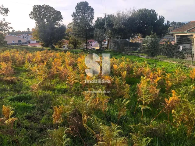 Terreno Urbano T0 - Pa�os, Sabrosa, Vila Real - Miniatura: 2/14