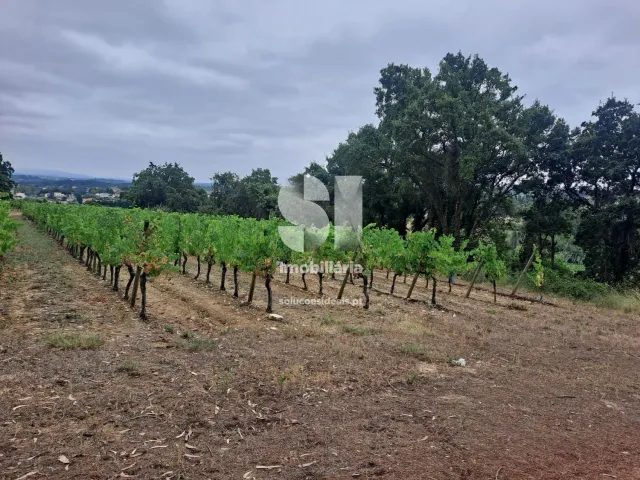 Terreno Urbano T0 - Arcos, Anadia, Aveiro - Miniatura: 3/22