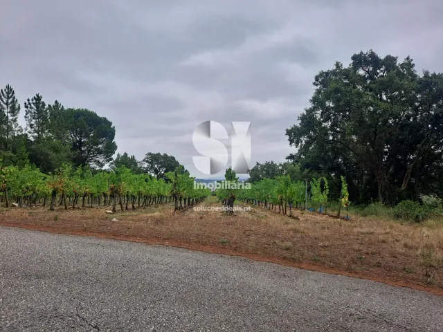 Terreno Urbano T0 - Arcos, Anadia, Aveiro - Miniatura: 4/22