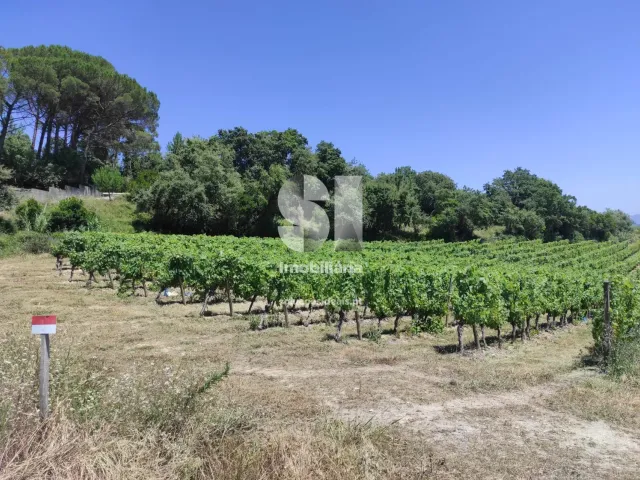 Terreno Urbano T0 - Arcos, Anadia, Aveiro - Miniatura: 13/22