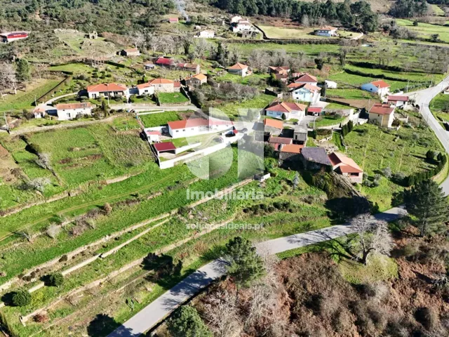 Moradia T0 - S�o Martinho de Antas e Paradela de Gui�es, Sabrosa, Vila Real - Miniatura: 6/18