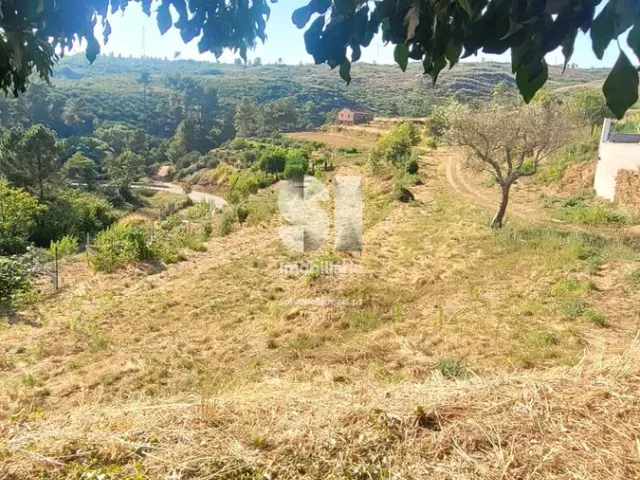 Moradia T0 - S�o Martinho de Antas e Paradela de Gui�es, Sabrosa, Vila Real - Miniatura: 9/18