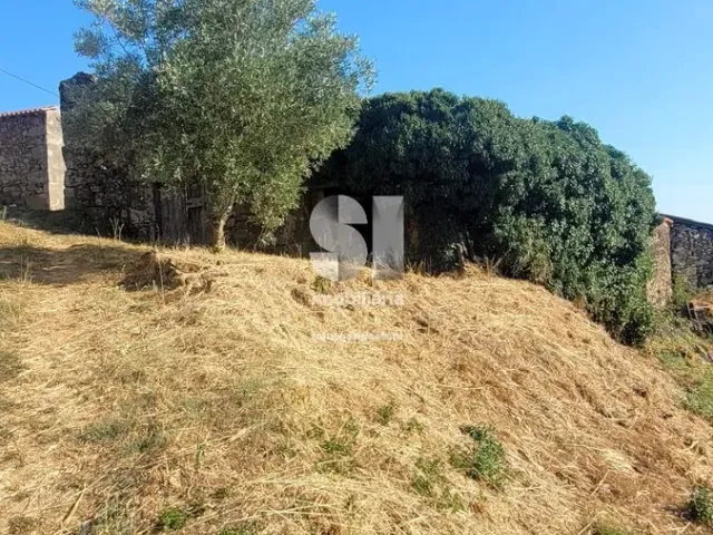 Moradia T0 - S�o Martinho de Antas e Paradela de Gui�es, Sabrosa, Vila Real - Miniatura: 11/18