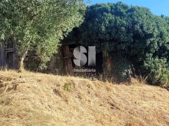 Moradia T0 - S�o Martinho de Antas e Paradela de Gui�es, Sabrosa, Vila Real - Miniatura: 14/18