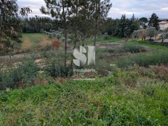 Terreno Urbano T0 - S�o Martinho da Corti�a, Arganil, Coimbra - Miniatura: 4/10