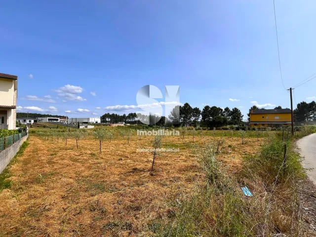 Terreno Urbano T0 - Constantim, Vila Real, Vila Real - Miniatura: 4/22