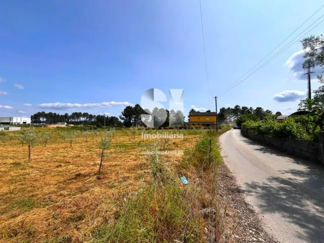 Terreno Urbano T0 - Constantim, Vila Real, Vila Real - Miniatura: 7/22