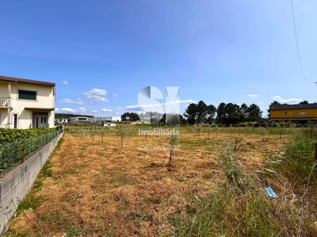 Terreno Urbano T0 - Constantim, Vila Real, Vila Real - Miniatura: 8/22